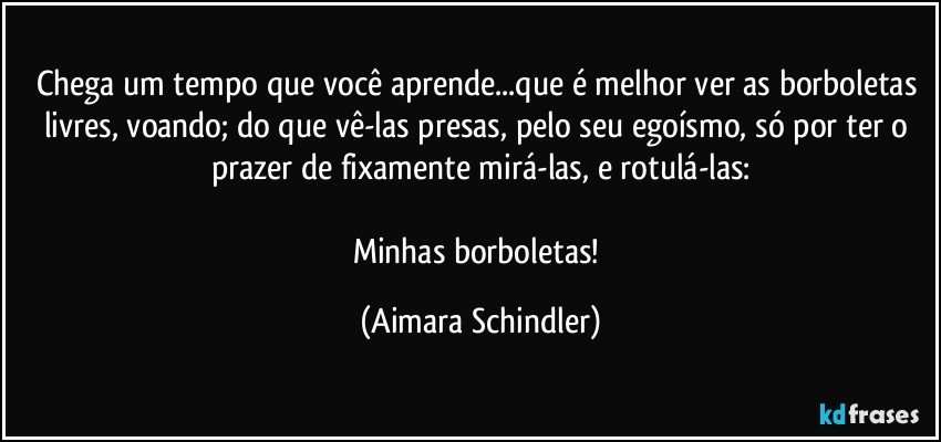 Chega um tempo que você aprende...que é melhor ver as borboletas livres, voando; do que vê-las presas, pelo seu egoísmo, só por ter o prazer de fixamente mirá-las, e rotulá-las:

Minhas borboletas! (Aimara Schindler)