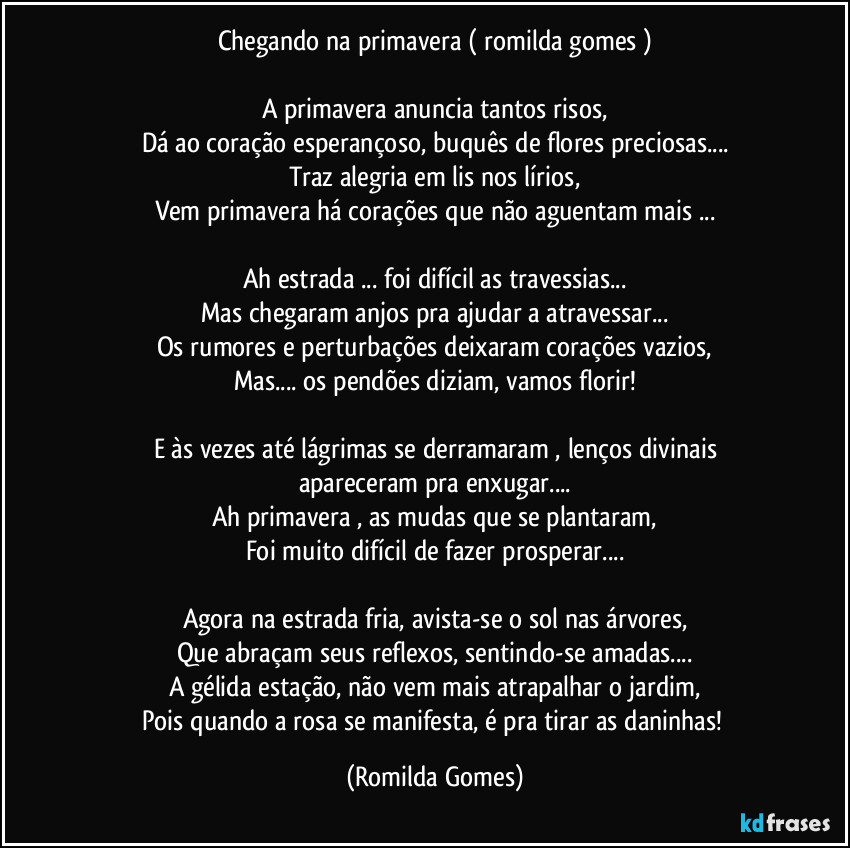 Chegando na primavera ( romilda gomes )

A primavera anuncia tantos risos,
Dá ao coração esperançoso, buquês de flores preciosas...
Traz alegria em lis nos lírios,
Vem primavera há corações que não aguentam mais ...

Ah estrada ... foi difícil as travessias...
Mas chegaram anjos pra ajudar a atravessar...
Os rumores e perturbações deixaram corações vazios,
Mas... os pendões diziam, vamos florir!

E às vezes até lágrimas se derramaram , lenços divinais
apareceram pra enxugar...
Ah primavera , as mudas que se plantaram,
Foi muito difícil de fazer prosperar...

Agora na estrada fria, avista-se o sol nas árvores,
Que abraçam seus reflexos, sentindo-se amadas...
A gélida estação, não vem mais atrapalhar o jardim,
Pois quando a rosa se manifesta, é pra tirar as daninhas! (Romilda Gomes)