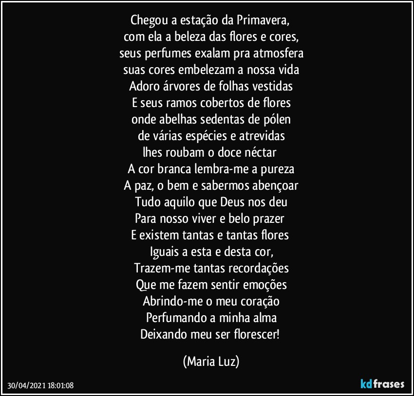 Chegou a estação da Primavera, 
com ela a beleza das flores e cores,
seus perfumes exalam pra atmosfera
suas cores embelezam a nossa vida
Adoro árvores de folhas vestidas
E seus ramos cobertos de flores
onde abelhas sedentas de pólen
de várias espécies e atrevidas
lhes roubam o doce néctar 
A cor branca lembra-me a pureza
A paz, o bem e sabermos abençoar
Tudo aquilo que Deus nos deu
Para nosso viver e belo prazer 
E existem tantas e tantas flores 
Iguais a esta e desta cor,
Trazem-me tantas recordações
Que me fazem sentir emoções
Abrindo-me o meu coração
Perfumando a minha alma
Deixando meu ser florescer! (Maria Luz)