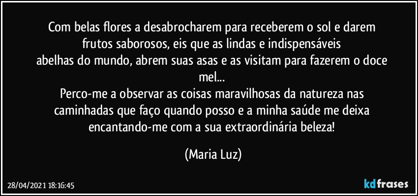 Com belas flores a desabrocharem para receberem o sol e darem frutos saborosos, eis que as lindas e indispensáveis 
abelhas do mundo, abrem suas asas e as visitam para fazerem o doce mel... 
Perco-me a observar as coisas maravilhosas da natureza nas caminhadas que faço quando posso e a minha saúde me deixa encantando-me com a sua extraordinária beleza! (Maria Luz)