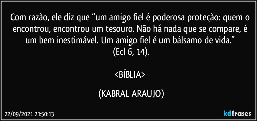 Com razão, ele diz que “um amigo fiel é poderosa proteção: quem o encontrou, encontrou um tesouro. Não há nada que se compare, é um bem inestimável. Um amigo fiel é um bálsamo de vida.” 
(Ecl 6, 14).

<BÍBLIA> (KABRAL ARAUJO)