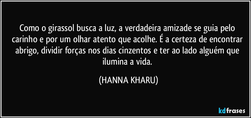 Como o girassol busca a luz, a verdadeira amizade se guia pelo carinho e por um olhar atento que acolhe. É a certeza de encontrar abrigo, dividir forças nos dias cinzentos e ter ao lado alguém que ilumina a vida. (HANNA KHARU)