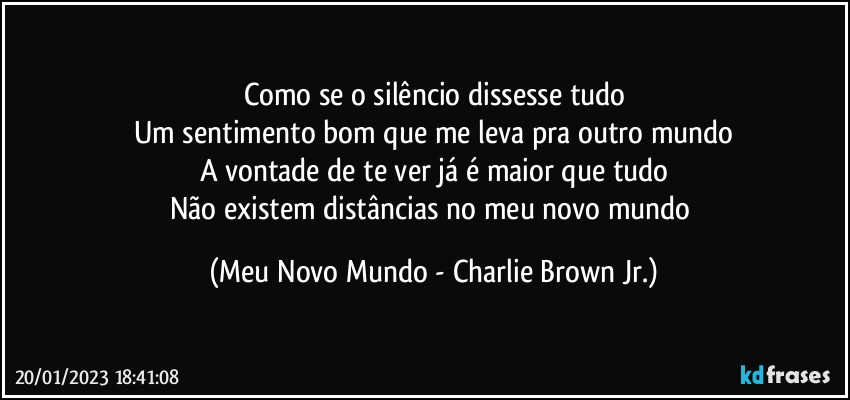 Como se o silêncio dissesse tudo
Um sentimento bom que me leva pra outro mundo
A vontade de te ver já é maior que tudo
Não existem distâncias no meu novo mundo (Meu Novo Mundo - Charlie Brown Jr.)