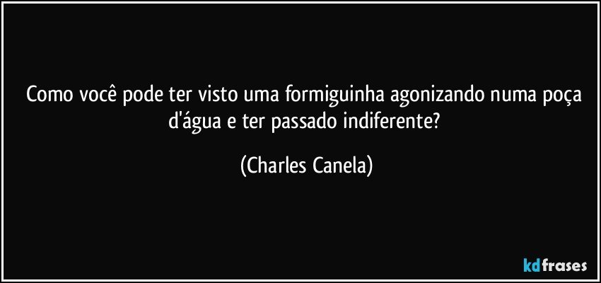 Como você pode ter visto uma formiguinha agonizando numa poça d'água e ter passado indiferente? (Charles Canela)