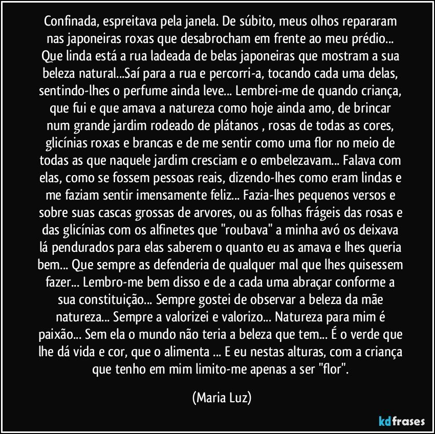 Confinada, espreitava pela janela. De súbito, meus olhos repararam nas japoneiras roxas que desabrocham em frente ao meu prédio... 
Que linda está a rua ladeada de belas japoneiras que mostram a sua beleza natural...Saí para a rua e percorri-a, tocando cada uma delas, sentindo-lhes o perfume ainda leve... Lembrei-me de quando criança, que fui e que amava a natureza como hoje ainda amo, de brincar num grande jardim rodeado de plátanos , rosas de todas as cores, glicínias roxas e brancas e de me sentir como uma flor no meio de todas as que naquele jardim cresciam e o embelezavam... Falava com elas, como se fossem pessoas reais, dizendo-lhes como eram lindas e me faziam sentir imensamente feliz... Fazia-lhes pequenos versos e sobre suas cascas grossas de arvores, ou as folhas frágeis das rosas e das glicínias com os alfinetes que "roubava" a minha avó os deixava lá pendurados para elas saberem o quanto eu as amava e lhes queria bem... Que sempre as defenderia de qualquer mal que lhes quisessem fazer... Lembro-me bem disso e de a cada uma abraçar conforme a sua constituição... Sempre gostei de observar a beleza da mãe natureza... Sempre a valorizei e valorizo... Natureza para mim é paixão... Sem ela o mundo não teria a beleza que tem... É o verde que lhe dá vida e cor, que o alimenta ... E eu nestas alturas, com a criança que tenho em mim limito-me apenas a ser "flor". (Maria Luz)