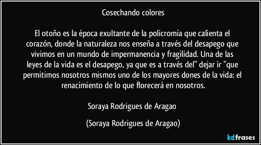 Cosechando colores

El otoño es la época exultante de la policromía que calienta el corazón, donde la naturaleza nos enseña a través del desapego que vivimos en un mundo de impermanencia y fragilidad. Una de las leyes de la vida es el desapego, ya que es a través del" dejar ir "que permitimos nosotros mismos uno de los mayores dones de la vida: el renacimiento de lo que florecerá en nosotros.

Soraya Rodrigues de Aragao (Soraya Rodrigues de Aragao)