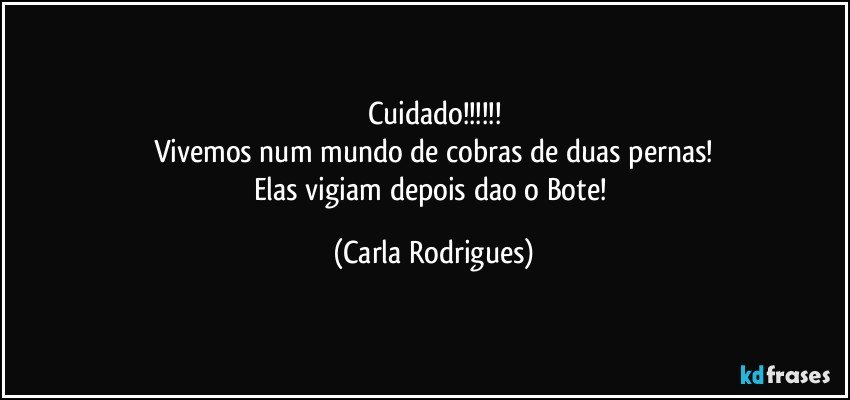 Cuidado!!!
Vivemos num mundo de cobras de duas pernas!
Elas vigiam depois dao o Bote! (Carla Rodrigues)