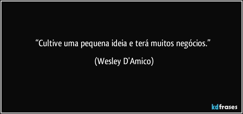 “Cultive uma pequena ideia e terá muitos negócios.” (Wesley D'Amico)