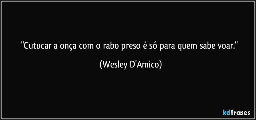 "Cutucar a onça com o rabo preso é só para quem sabe voar." (Wesley D'Amico)