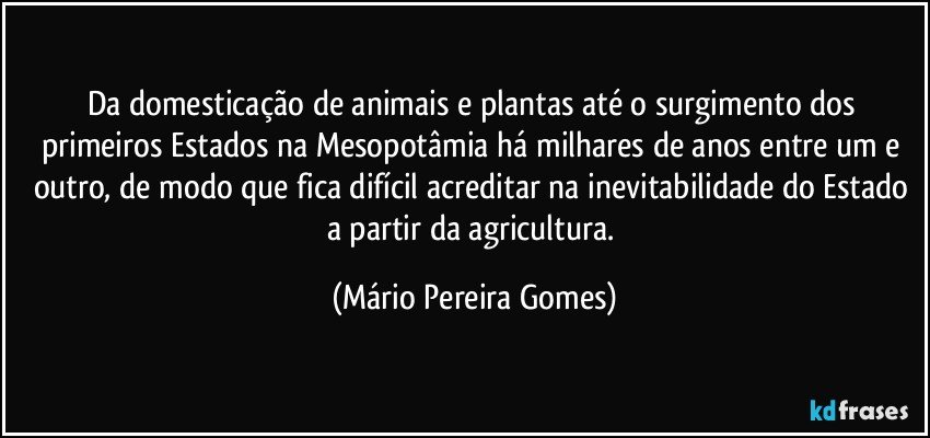 Da domesticação de animais e plantas até o surgimento dos primeiros Estados na Mesopotâmia há milhares de anos entre um e outro, de modo que fica difícil acreditar na inevitabilidade do Estado a partir da agricultura. (Mário Pereira Gomes)