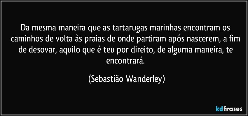 Da mesma maneira que as tartarugas marinhas encontram os caminhos de volta às praias de onde partiram após nascerem, a fim de desovar, aquilo que é teu por direito, de alguma maneira, te encontrará. (Sebastião Wanderley)