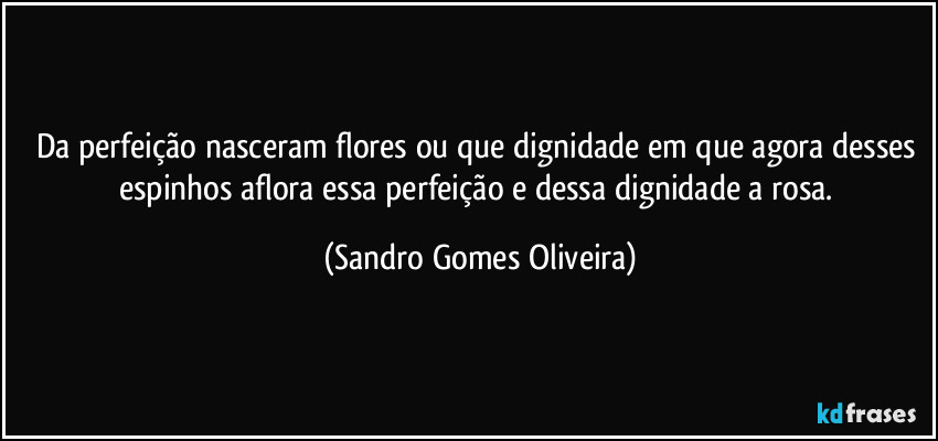 Da perfeição nasceram flores ou que dignidade em que agora desses espinhos aflora essa perfeição e dessa dignidade a rosa. (Sandro Gomes Oliveira)