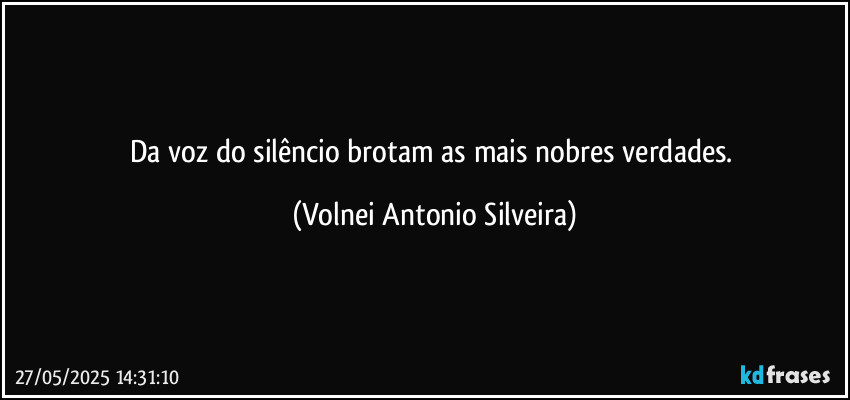 Da voz do silêncio brotam as mais nobres verdades. (Volnei Antonio Silveira)