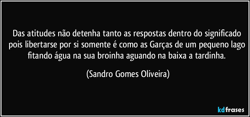 Das atitudes não detenha tanto as respostas dentro do significado pois libertarse por si somente é como as Garças de um pequeno lago fitando água na sua broinha aguando na baixa a tardinha. (Sandro Gomes Oliveira)