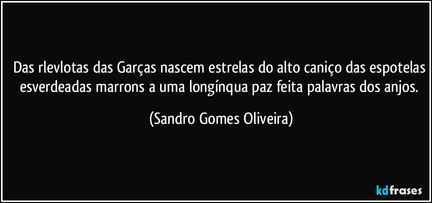 Das rlevlotas das Garças nascem estrelas do alto caniço das espotelas esverdeadas marrons a uma longínqua paz feita palavras dos anjos. (Sandro Gomes Oliveira)