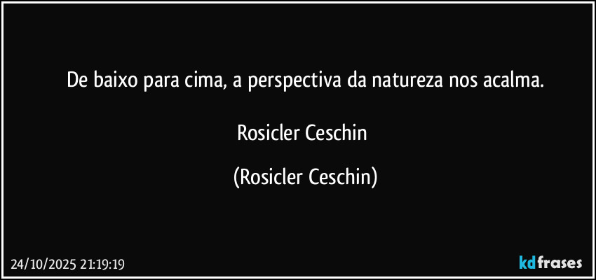 De baixo para cima, a perspectiva da natureza nos acalma.

Rosicler Ceschin (Rosicler Ceschin)