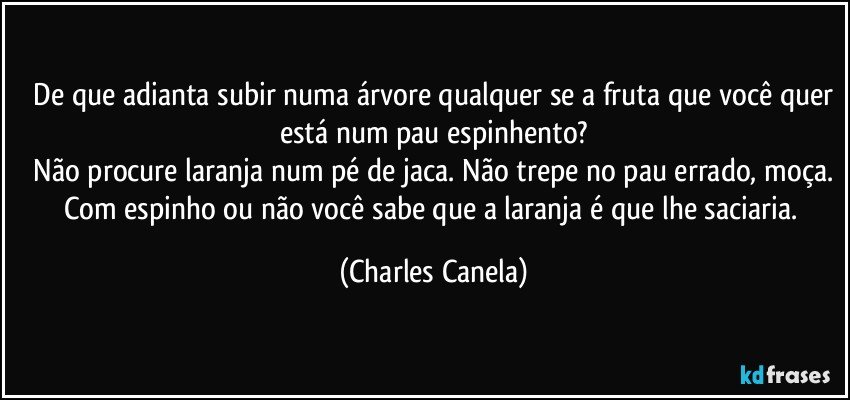 ⁠De que adianta subir numa árvore qualquer se a fruta que você quer está num pau espinhento?
 Não procure laranja num pé de jaca. Não trepe no pau errado, moça. Com espinho ou não você sabe que a laranja é que lhe saciaria. (Charles Canela)