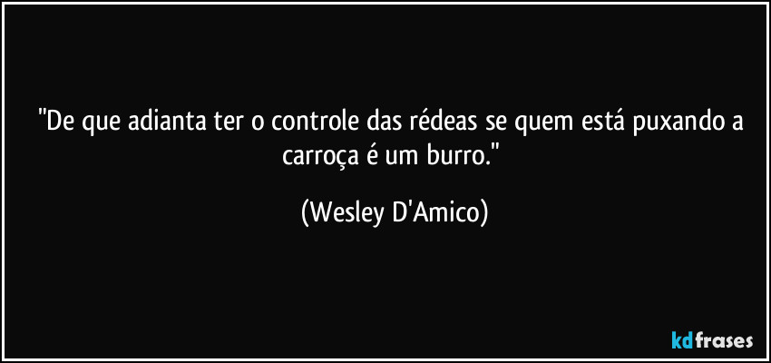 "De que adianta ter o controle das rédeas se quem está puxando a carroça é um burro." (Wesley D'Amico)