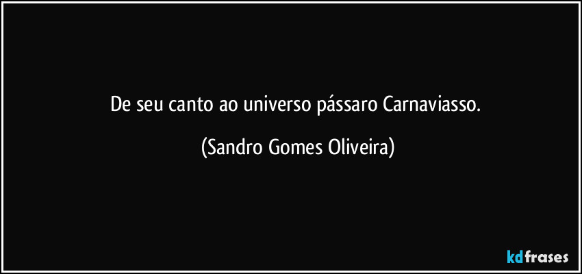 De seu canto ao universo pássaro Carnaviasso. (Sandro Gomes Oliveira)