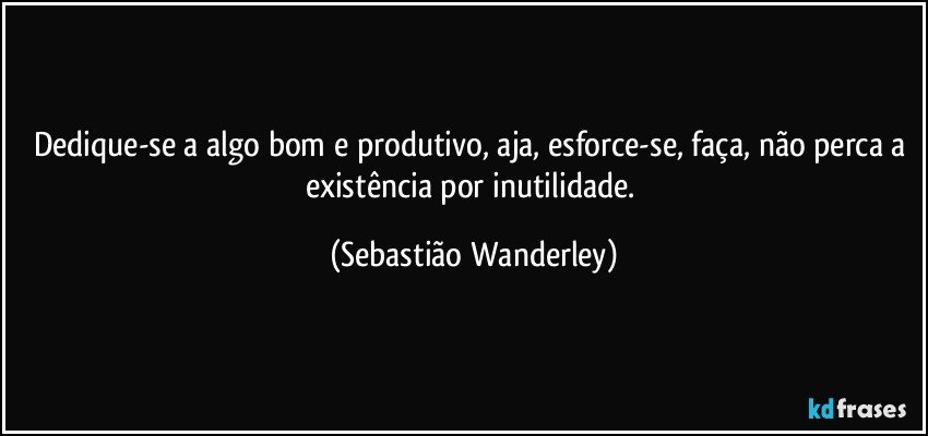Dedique-se a algo bom e produtivo,  aja, esforce-se, faça, não perca a existência por inutilidade. (Sebastião Wanderley)