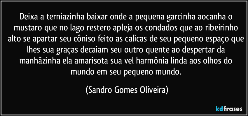 Deixa a terniazinha baixar onde a pequena garcinha aocanha o mustaro que no lago restero apleja os condados que ao ribeirinho alto se apartar seu côniso feito as calicas de seu pequeno espaço que lhes sua graças decaiam seu outro quente ao despertar da manhãzinha ela amarisota sua vel harmônia linda aos olhos do mundo em seu pequeno mundo. (Sandro Gomes Oliveira)