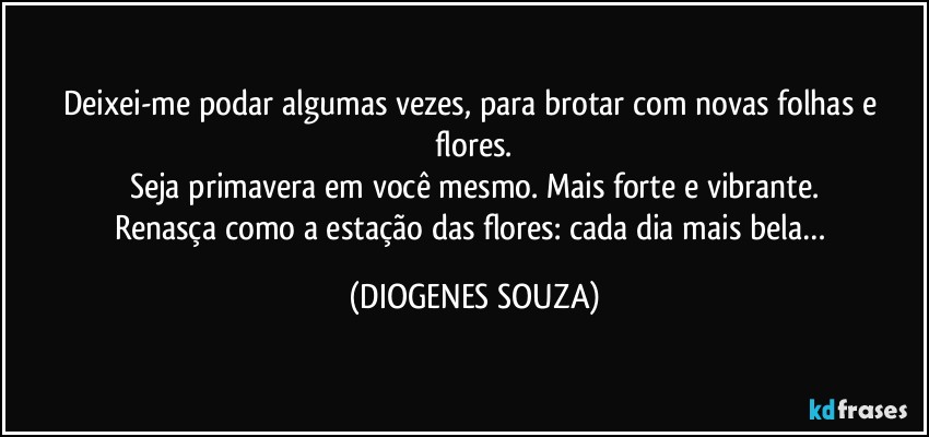 Deixei-me podar algumas vezes, para brotar com novas folhas e flores.
Seja  primavera em você mesmo. Mais forte e vibrante.
Renasça como a estação das flores: cada dia mais bela… (DIOGENES SOUZA)