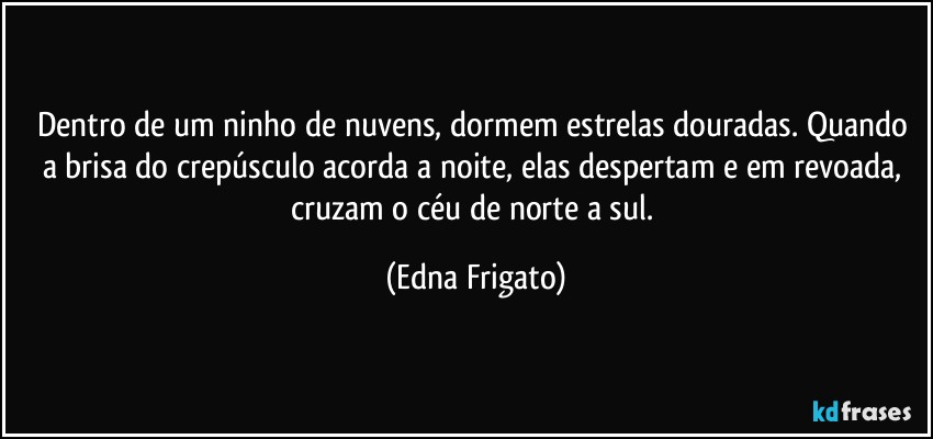 Dentro de um ninho de nuvens, dormem estrelas douradas. Quando a brisa do crepúsculo acorda a noite, elas despertam e em revoada, cruzam o céu de norte a sul. (Edna Frigato)