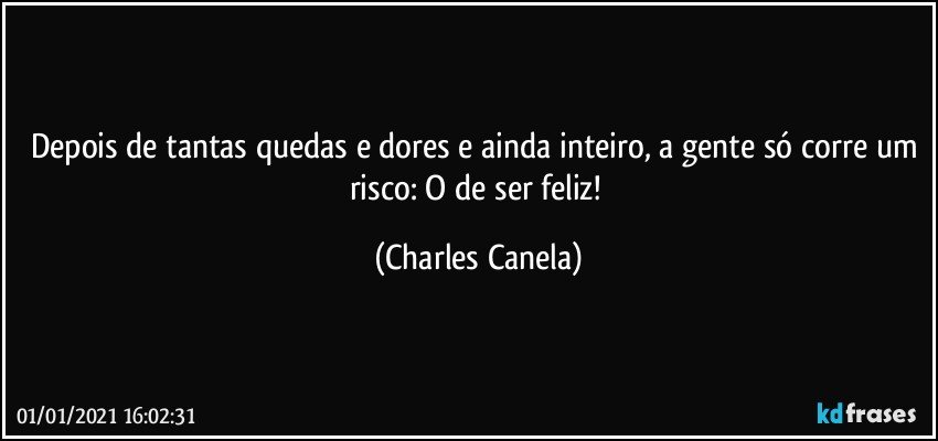 Depois de tantas quedas e dores e ainda inteiro, a gente só corre um risco: O de ser feliz! (Charles Canela)