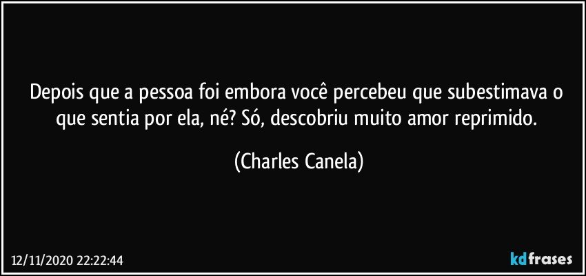 Depois que a pessoa foi embora você percebeu que subestimava o que sentia por ela, né? Só, descobriu muito amor reprimido. (Charles Canela)