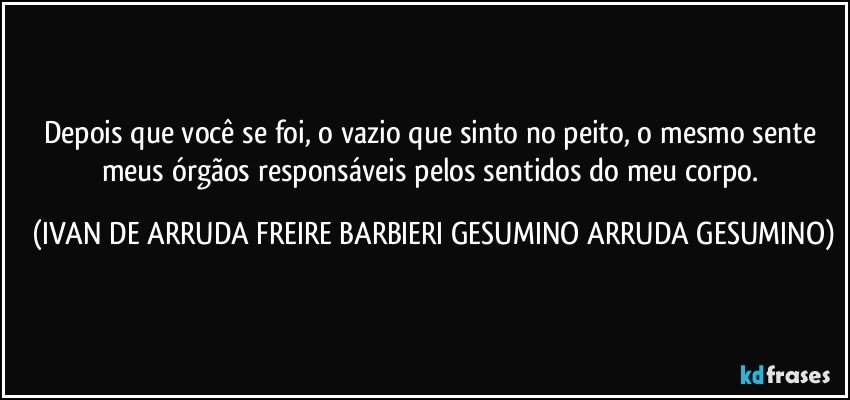 Depois que você se foi, o vazio que sinto no peito, o mesmo sente meus órgãos responsáveis pelos sentidos do meu corpo. (IVAN DE ARRUDA FREIRE BARBIERI GESUMINO ARRUDA GESUMINO)