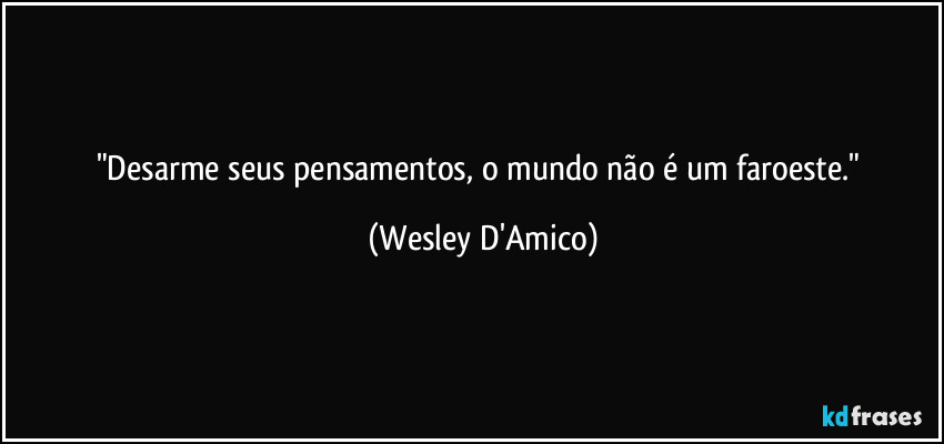 "Desarme seus pensamentos, o mundo não é um faroeste." (Wesley D'Amico)