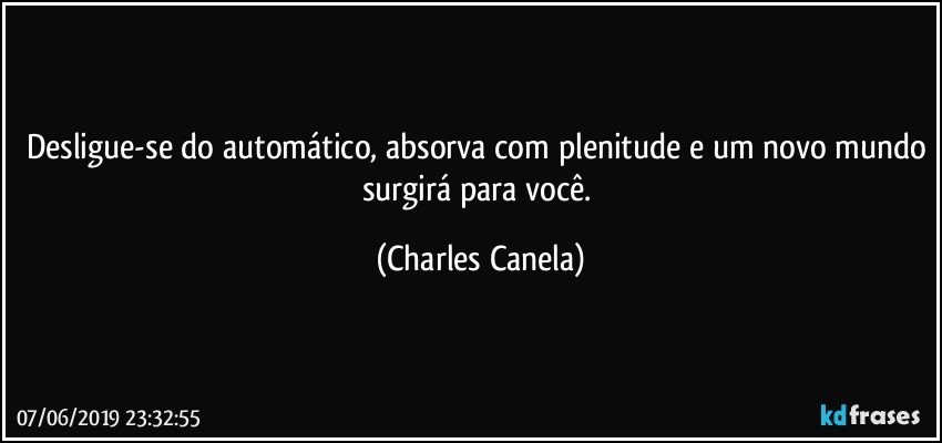 Desligue-se do automático, absorva com plenitude e um novo mundo surgirá para você. (Charles Canela)