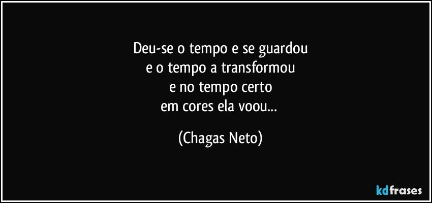 Deu-se o tempo e se guardou
e o tempo a transformou
e no tempo certo
em cores ela voou... (Chagas Neto)