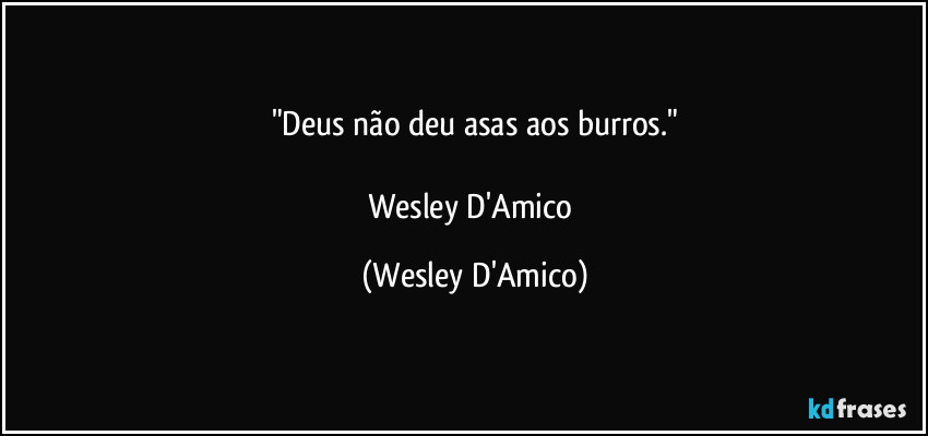 "Deus não deu asas aos burros."

Wesley D'Amico (Wesley D'Amico)