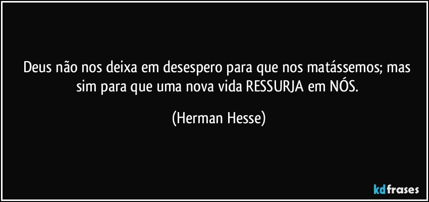 Deus não nos deixa em desespero para que nos matássemos; mas sim para que uma nova vida RESSURJA em NÓS. (Herman Hesse)