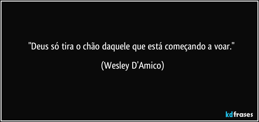 "Deus só tira o chão daquele que está começando a voar." (Wesley D'Amico)
