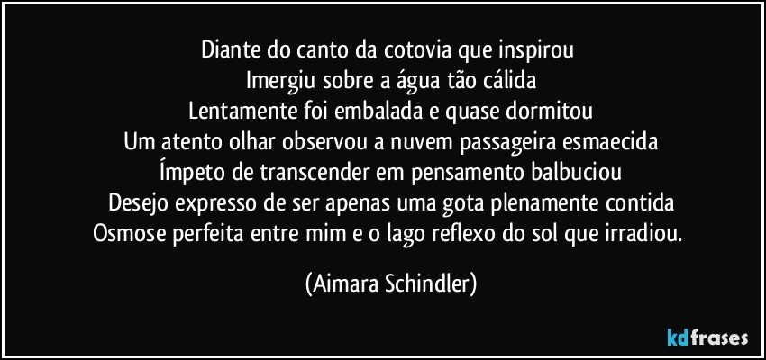 Diante do canto da cotovia que inspirou 
Imergiu sobre a água tão cálida
Lentamente foi embalada e quase dormitou
Um atento olhar observou a nuvem passageira esmaecida
Ímpeto de transcender em pensamento balbuciou
Desejo expresso de ser apenas uma gota plenamente contida
Osmose perfeita entre mim e o  lago reflexo do sol que irradiou. (Aimara Schindler)