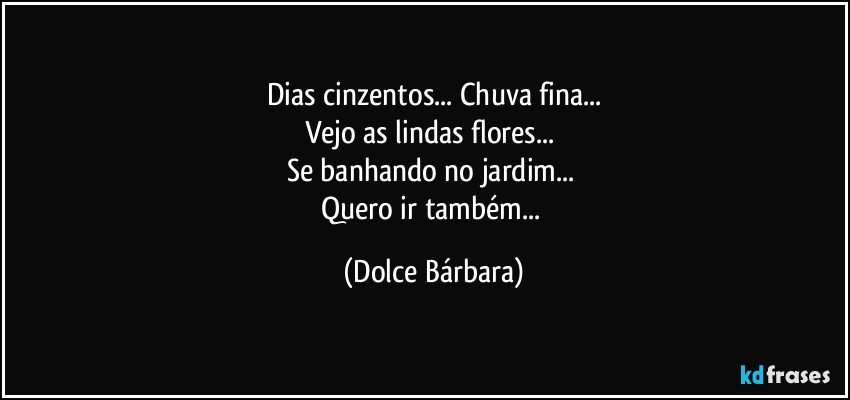Dias cinzentos... Chuva fina...
Vejo as lindas flores... 
Se banhando no jardim... 
Quero ir também... (Dolce Bárbara)