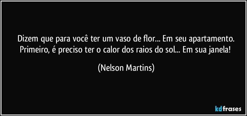 Dizem que para você ter um vaso de flor... Em seu apartamento.
Primeiro, é preciso ter o calor dos raios do sol... Em sua janela! (Nelson Martins)