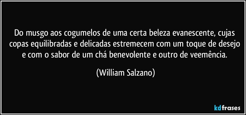 Do musgo aos cogumelos de uma certa beleza evanescente, cujas copas equilibradas e delicadas estremecem com um toque de desejo e com o sabor de um chá benevolente e outro de veemência. (William Salzano)