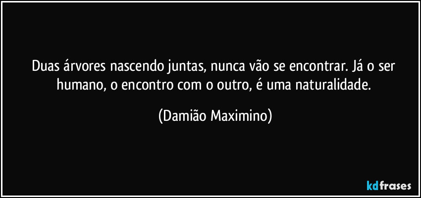 Duas árvores nascendo juntas, nunca vão se encontrar. Já o ser humano, o encontro com o outro, é uma naturalidade. (Damião Maximino)