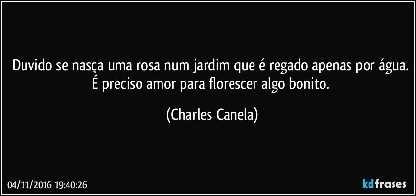 Duvido se nasça uma rosa num jardim que é regado apenas por água. É preciso amor para florescer algo bonito. (Charles Canela)