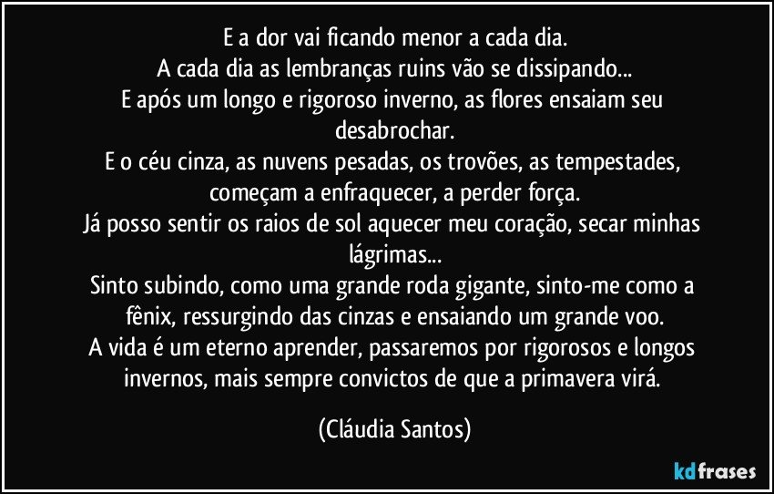 E a dor vai ficando menor a cada dia.
A cada dia as lembranças ruins vão se dissipando...
E após um longo e rigoroso inverno, as flores ensaiam seu desabrochar.
E o céu cinza, as nuvens pesadas, os trovões, as tempestades, começam a enfraquecer, a perder força.
Já posso sentir os raios de sol aquecer meu coração, secar minhas lágrimas...
Sinto subindo, como uma grande roda gigante, sinto-me como a fênix, ressurgindo das cinzas e ensaiando um grande voo.
A vida é um eterno aprender, passaremos por rigorosos e longos invernos, mais sempre convictos de que a primavera virá. (Cláudia Santos)