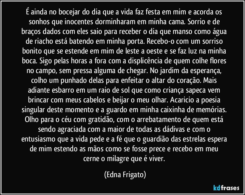 É ainda no bocejar do dia que a vida faz festa em mim e acorda os sonhos que inocentes dorminharam em minha cama. Sorrio e de braços dados com eles saio para receber o dia que manso como água de riacho está batendo em minha porta. Recebo-o com um sorriso bonito que se estende em mim de leste a oeste e se faz luz na minha boca. Sigo pelas horas a fora com a displicência de quem colhe flores no campo, sem pressa alguma de chegar. No jardim da esperança, colho um punhado delas para enfeitar o altar do coração. Mais adiante esbarro em um raio de sol que como criança sapeca vem brincar com meus cabelos e beijar o meu olhar. Acaricio a poesia singular deste momento e a guardo em minha caixinha de memórias. Olho para o céu com gratidão, com o arrebatamento de quem está sendo agraciada com a maior de todas as dádivas e com o entusiasmo que a vida pede e a fé que o guardião das estrelas espera de mim estendo as mãos como se fosse prece e recebo em meu cerne o milagre que é viver. (Edna Frigato)