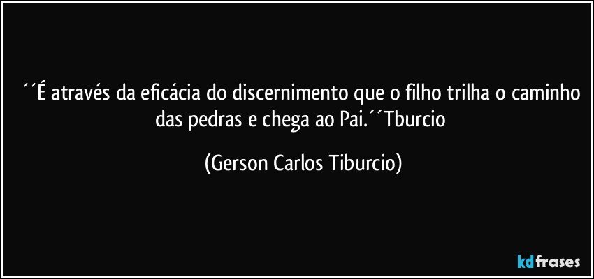 ´´É através da eficácia do discernimento que o filho trilha o caminho das pedras e chega ao Pai.´´Tburcio (Gerson Carlos Tiburcio)