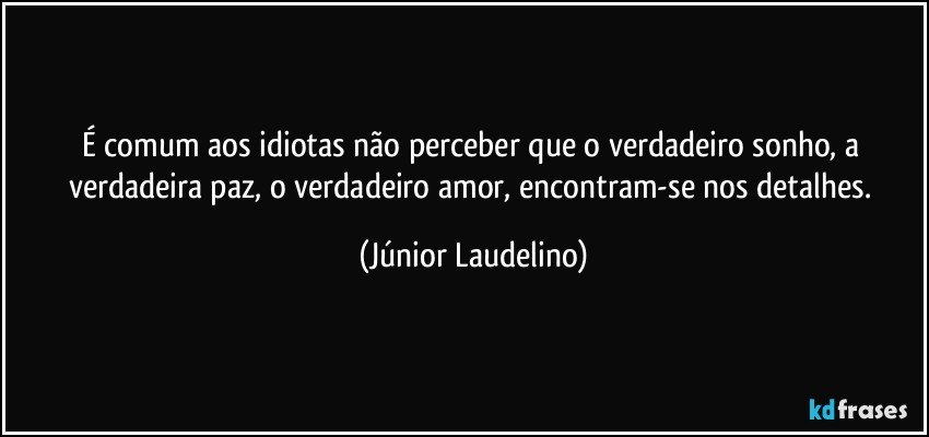 É comum aos idiotas não perceber que o verdadeiro sonho, a verdadeira paz, o verdadeiro amor, encontram-se nos detalhes. (Júnior Laudelino)