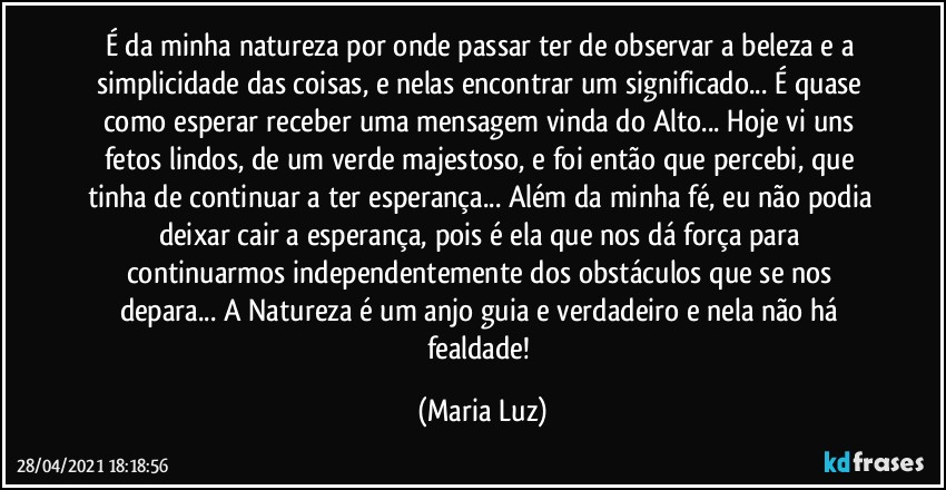 É da minha natureza por onde passar ter de observar a beleza e a simplicidade das coisas, e nelas encontrar um significado... É quase como esperar receber uma mensagem vinda do Alto... Hoje vi uns fetos lindos, de um verde majestoso, e foi então que percebi, que tinha de continuar a ter esperança... Além da minha fé, eu não podia deixar cair a esperança, pois é ela que nos dá força para continuarmos independentemente dos obstáculos que se nos depara... A Natureza é um anjo guia e verdadeiro e nela não há fealdade! (Maria Luz)