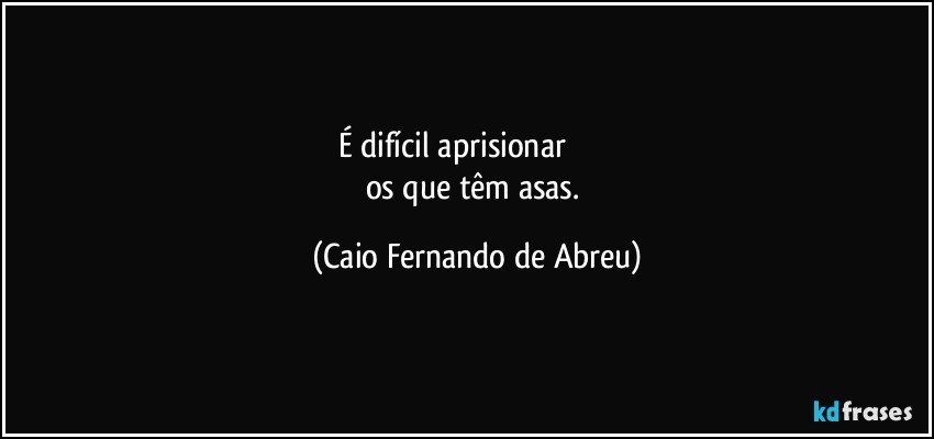 É difícil aprisionar                     
os que têm asas. (Caio Fernando de Abreu)