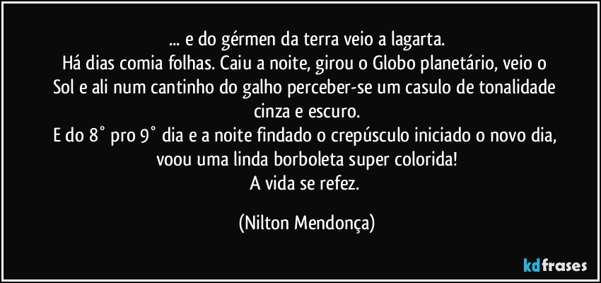 ... e do gérmen da terra veio a lagarta.
Há dias comia folhas. Caiu a noite, girou o Globo planetário, veio o Sol e ali num cantinho do galho perceber-se um casulo de tonalidade cinza e escuro.
E do 8° pro 9° dia e a noite findado o crepúsculo iniciado o novo dia, voou uma linda borboleta super colorida!
A vida se refez. (Nilton Mendonça)