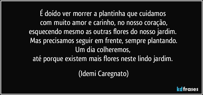 É doído ver morrer a plantinha que cuidamos 
com muito amor e carinho, no nosso coração,
esquecendo mesmo as outras flores do nosso jardim. 
Mas precisamos seguir em frente, sempre plantando.
Um dia colheremos, 
até porque existem mais flores neste lindo jardim. (Idemi Caregnato)